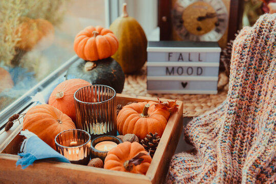 Fall Reset: embracing change and feeling refresh this fall